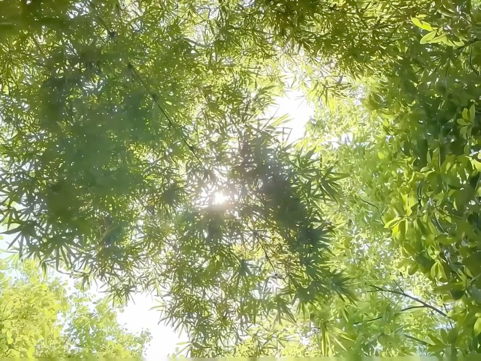 a day when we are sitting together in teh park and talk about anything